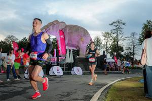 BIB: 
                            <button type="button" onclick="openModal(26529360)" class="btn btn-primary btn-sm float-right btn-popup" data-toggle="modal" data-target=".modal-high-quality">
                        <i class="fas fa-shopping-cart"></i> Add to Cart
                    </button>
                                            <button type="button" onclick="isThisMe(26529360, true)" class="btn btn-success btn-sm float-right btn-popup btn-isme hidden" data-toggle="tooltip" data-placement="bottom" title="นี่คือรูปของคุณใช่ไหม คลิกที่นี่เพื่อเอาเข้าอัลบั้ม">
                        <i class="fas fa-plus"></i> Add to album
                    </button>
                    <button type="button" onclick="isThisMe(26529360, false)" class="btn btn-warning btn-sm float-right btn-popup btn-isnotme hidden">
                        <i class="fas fa-ban"></i> Remove from album
                    </button>